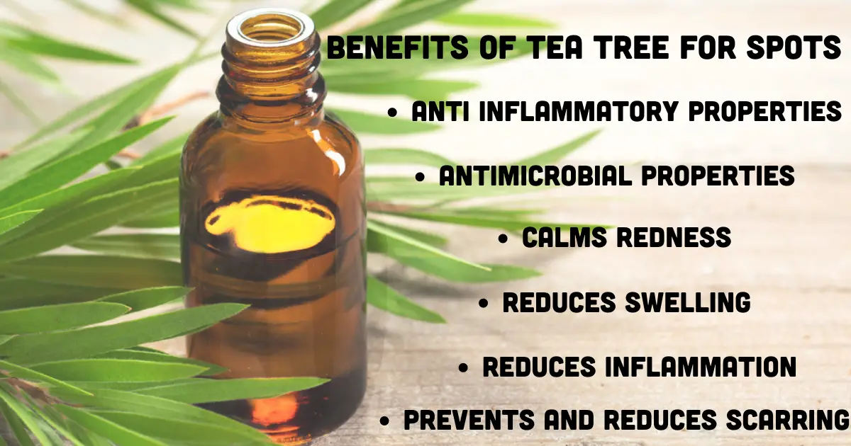 tea tree benefits