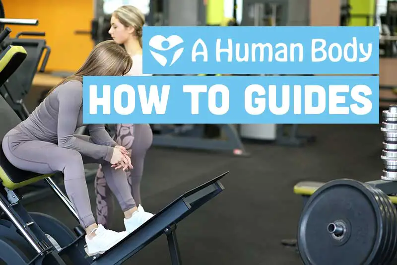 Fitness how to guides